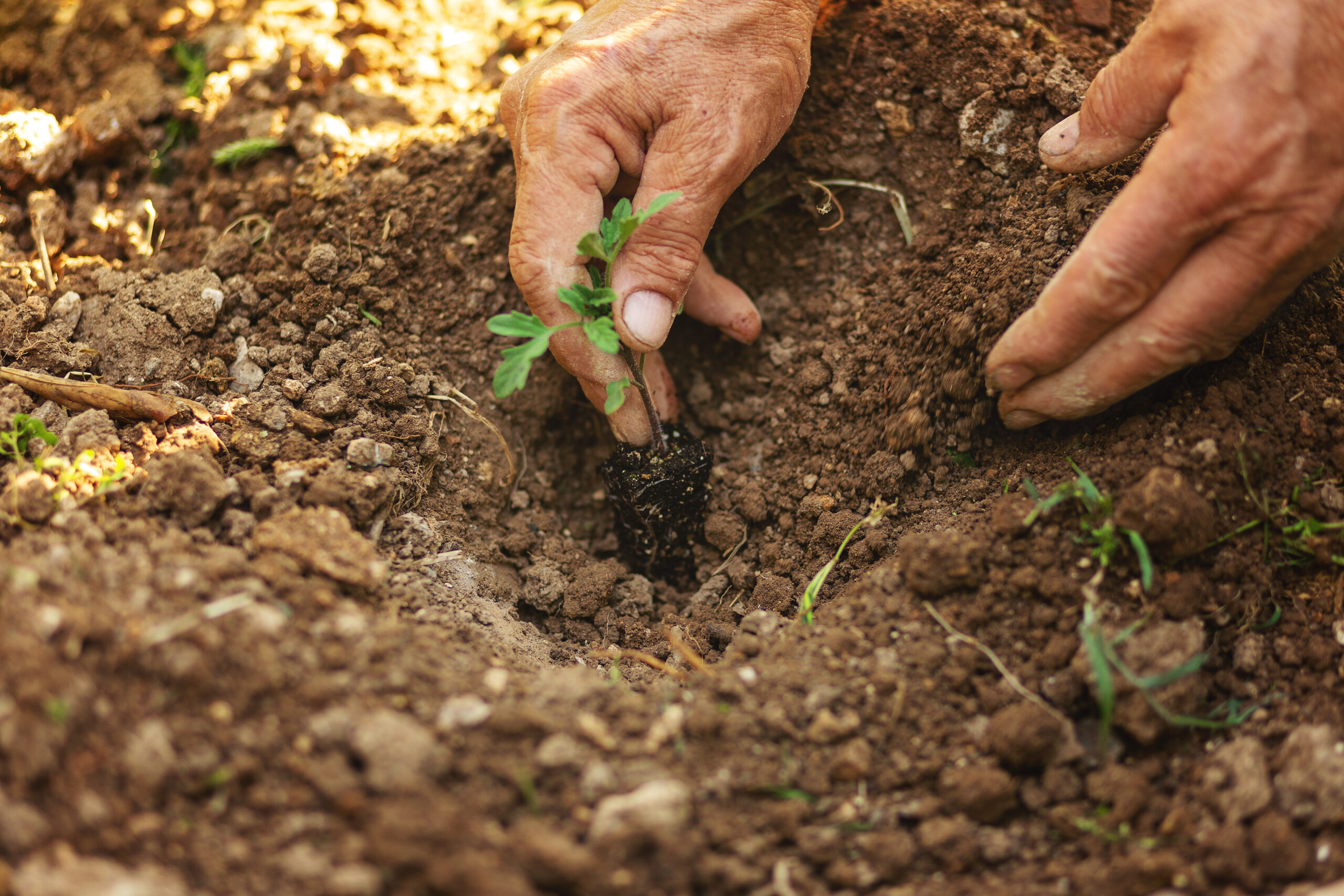 Réponse aux membres de la Fédération Nationale d’Agriculture Biologique